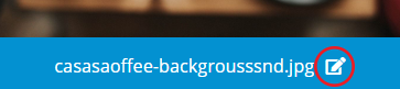 edit-asset-name.PNG